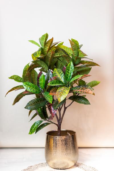 Kunstplant Croton Codiaeum (Wonderstruik)