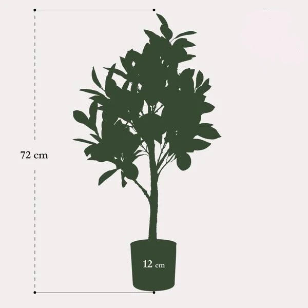 Kunstplant Citrus Limonia (Citroenboom) - H 75 cm - D 12 cm