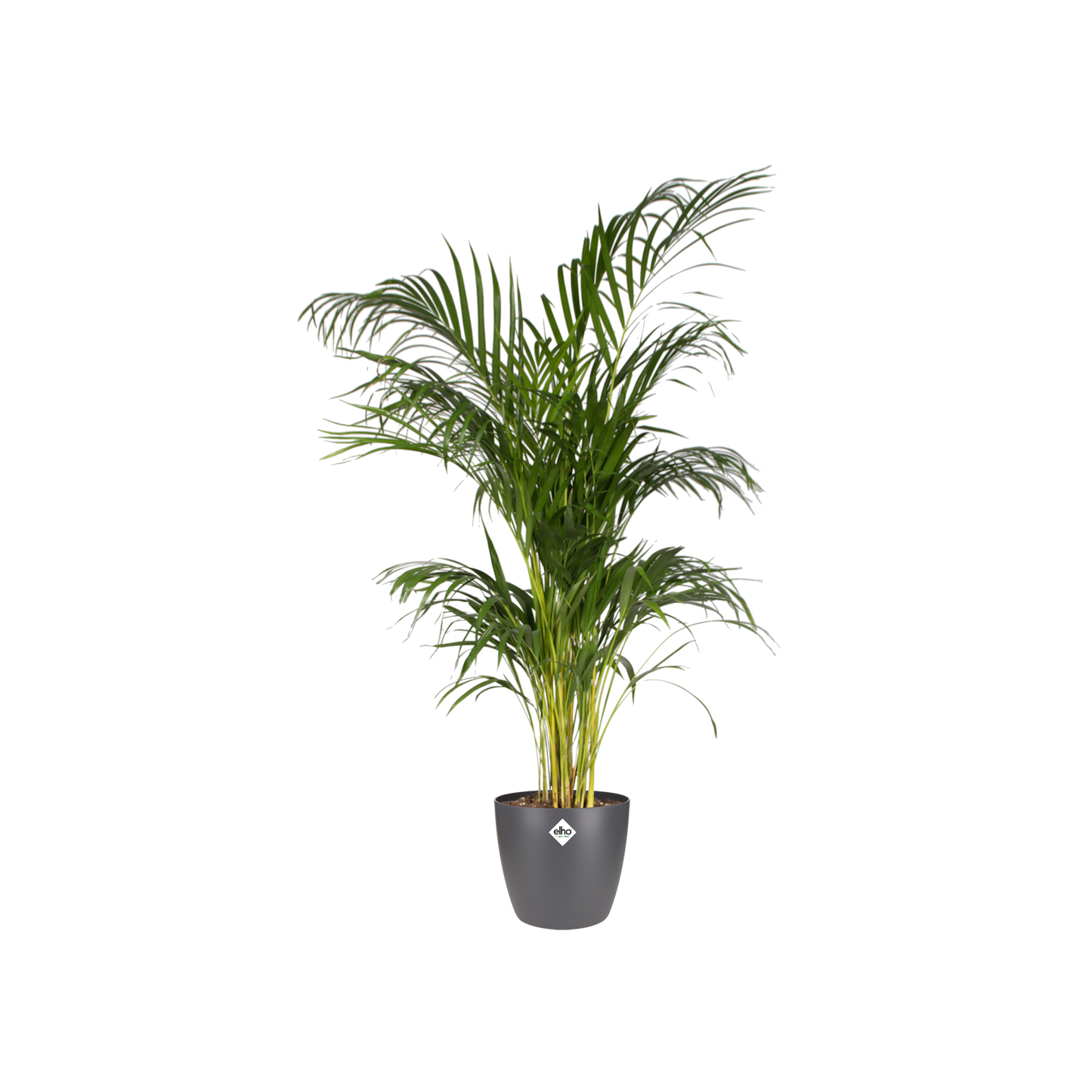 Elho Brussels Pot - Antraciet - D 20 cm x H 19 cm
